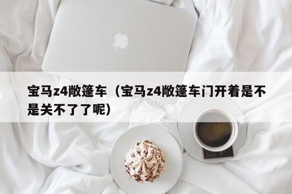 宝马z4敞篷车(宝马z4敞篷车门开着是不是关不了了呢)