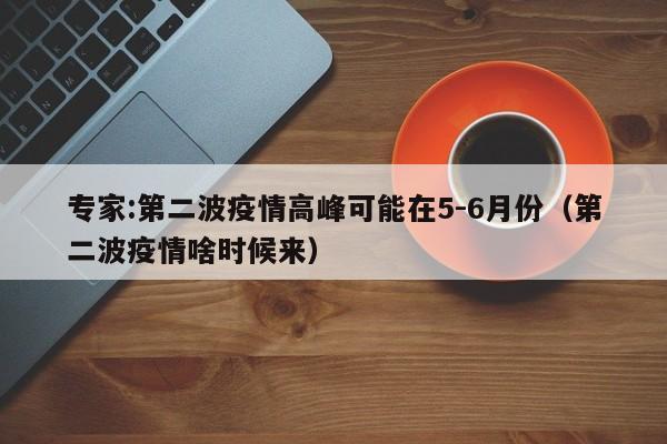 专家:第二波疫情高峰可能在5-6月份(第二波疫情啥时候来)