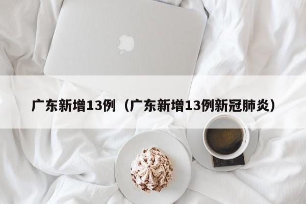 广东新增13例(广东新增13例新冠肺炎)