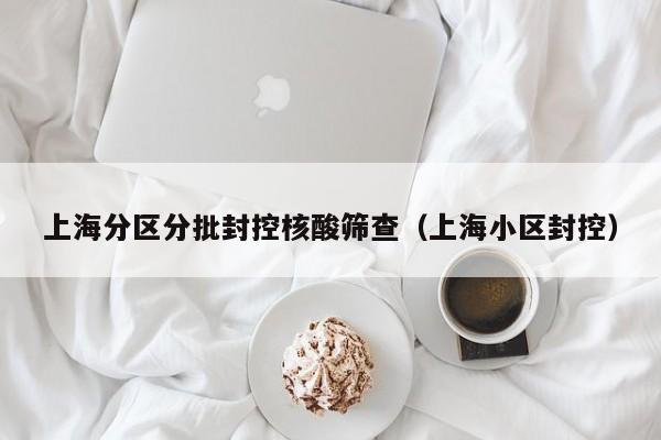 上海分区分批封控核酸筛查(上海小区封控)