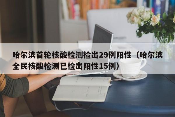 哈尔滨首轮核酸检测检出29例阳性(哈尔滨全民核酸检测已检出阳性15例)