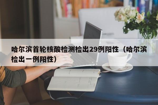 哈尔滨首轮核酸检测检出29例阳性(哈尔滨检出一例阳性)